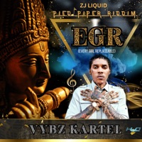 E.G.R. (Every Girl Replaceable) - Single - Vybz Kartel & ZJ Liquid