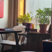 Strength - Single - Maxrrss