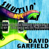 Shufflin' NYC (feat. Oz Noy, Steve Gadd, Paul Shaffer, Will Lee, Albert Lee, Davide Pannozzo & Carmen Grillo) artwork