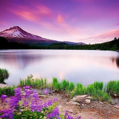 LE TAM - 平和な場所へ