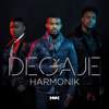 Incroyable (2024 Remastered Version) - Harmonik