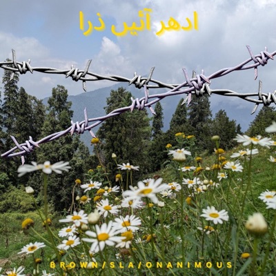 Idhar Ayein Zara (feat. Brown, Sla & Onanimous) - Single