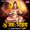 Om Namah Shivay - EP