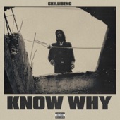 Know Why [Reintro (feat. Tommy Lee Sparta) artwork