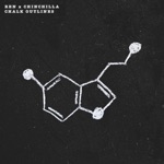 Ren & CHINCHILLA - Chalk Outlines