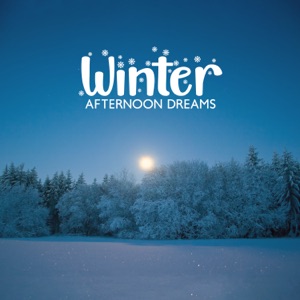 Winter Afternoon Dreams: Tranquil Winter Tales