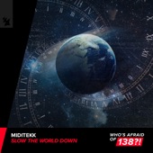 Slow the World Down (Extended Mix) artwork