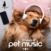 3 Hours of Pet Music: Relaxing Music To Soothe and Comfort Your Pets (Cure Separation Anxiety!)