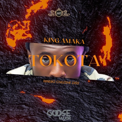 TOKOTA (Ninebo Chileshe Diss) - Single
