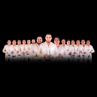 Listen to Beto y Sus Canarios, watch music videos, read bio, see tour dates & more!