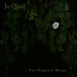 ...for Dappled Things - Single