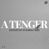 A tenger (Ez a világ amilyen nagy) [feat. BOROS CSABA] - Single