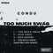 Too Much Swag (MartinoResi Remix) - Condu lyrics