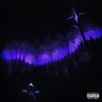 patrol (feat. Fimiguerrero) - Single - hako