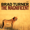 Slapped My Mind - Brad Turner Trio