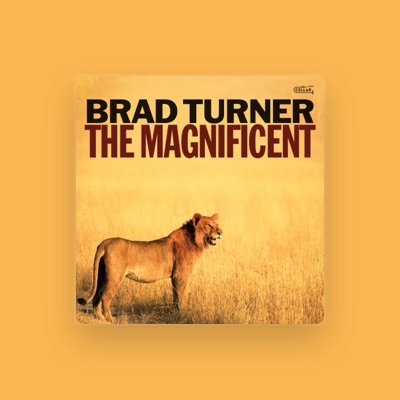 Brad Turner Trio