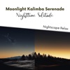 Moonlight Kalimba Serenade: Nighttime Solitude