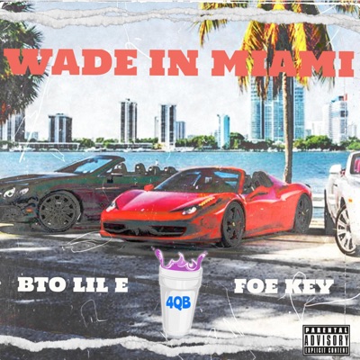 WADE IN MIAMI (feat. BTO Lil E & FOE KEY) - Single