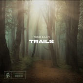 Trails artwork