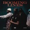 Booming Lines - Shadz & Fizzler lyrics