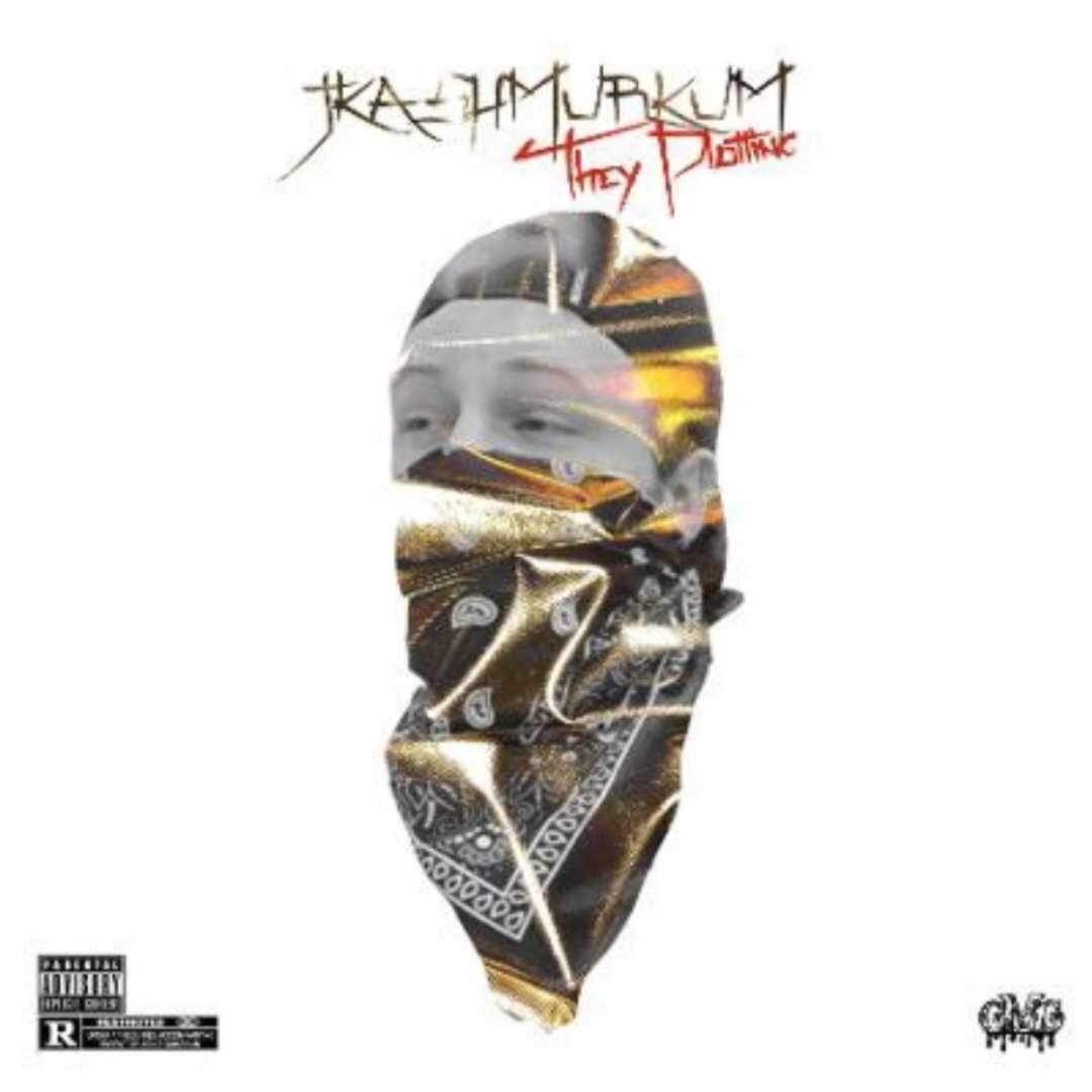They Plottin - Single