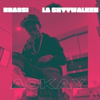 Aokay (feat. LA Skyywalker) - Single - Brassi