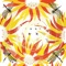 Greek Honey Slick (feat. Tom Skinner) - Alabaster Deplume lyrics