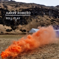 Roll Play - Single - Harry Romero