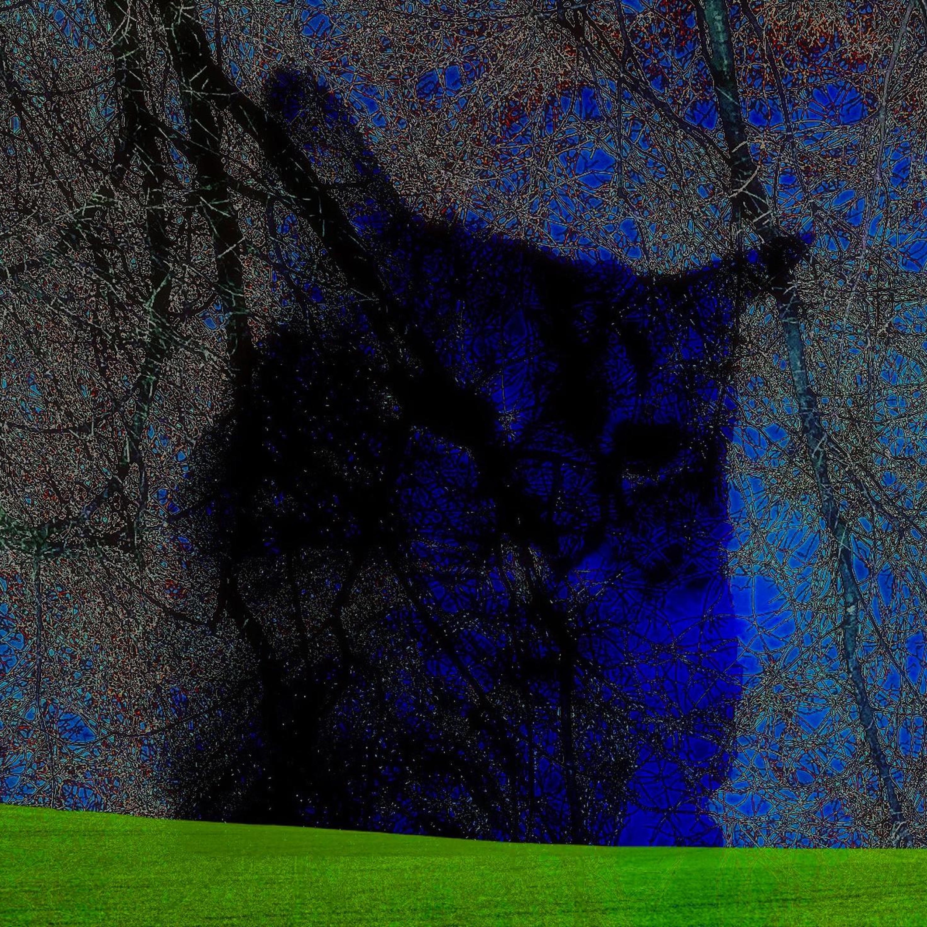 Cheryl Johnson - Part of the Plan