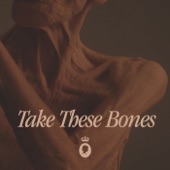 Take These Bones artwork