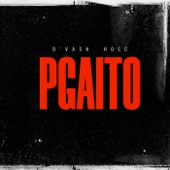 Pgaito artwork