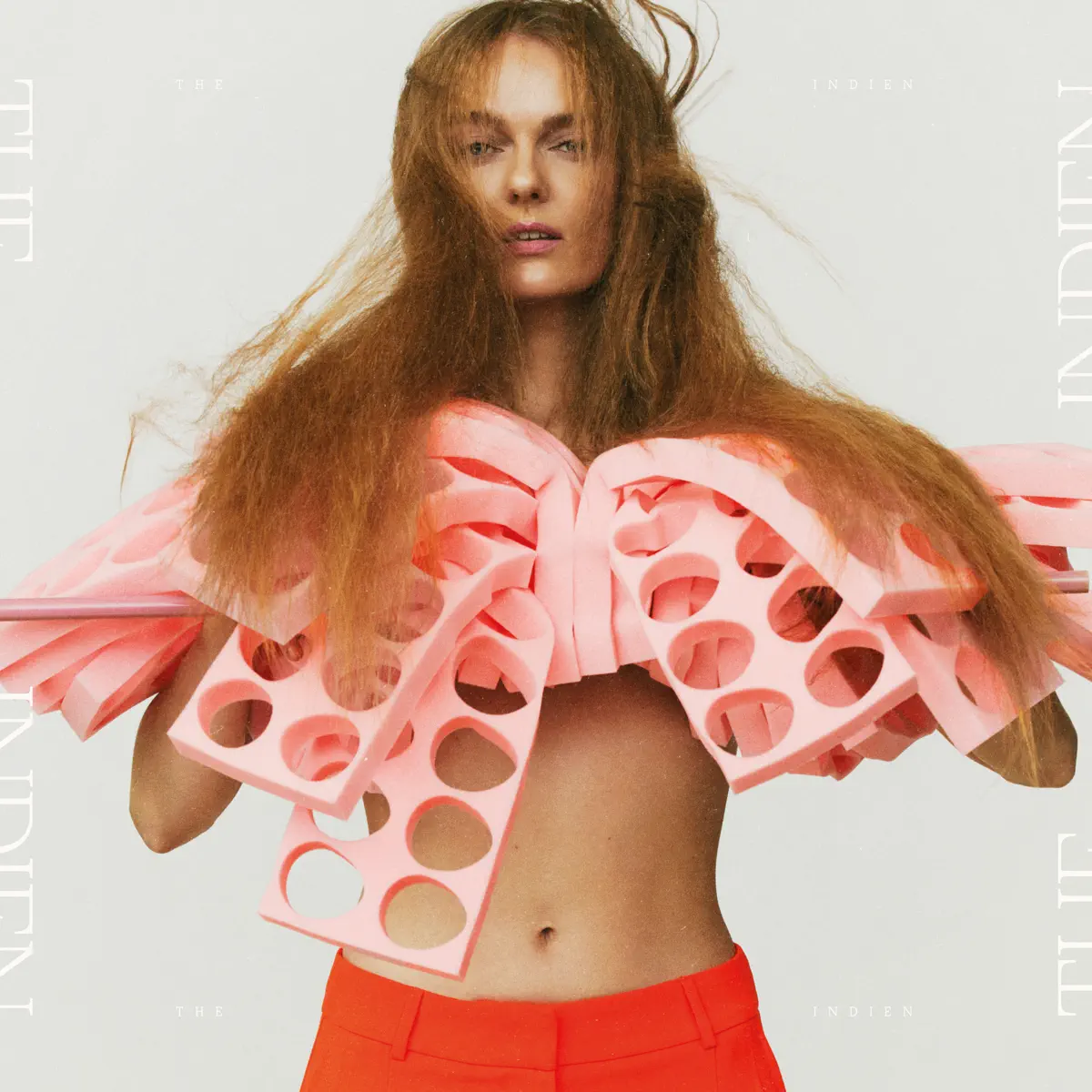 The Indien - The Indien (2024) [iTunes Plus AAC M4A]-新房子