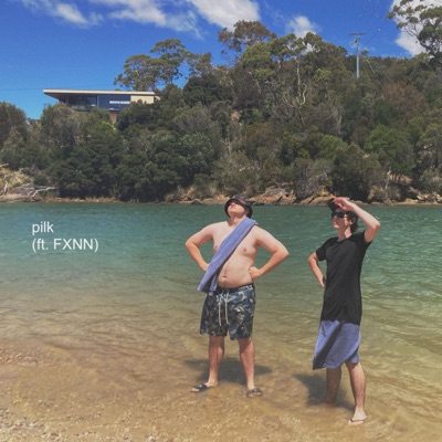 pilk (feat. FXNN) - Single