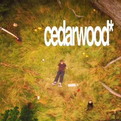 foggy (feat. Jimmij) [remix] - Single