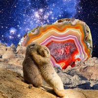 Aurora - Single - Zac Colwell