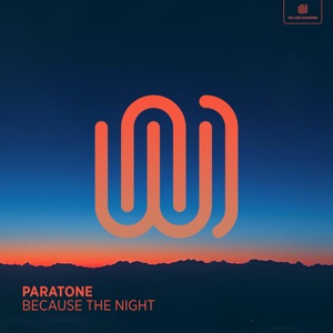 Because the Night - Single