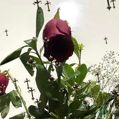 Diabla (feat. Nachotheplug) [Remix] - Single