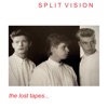 Split Vision