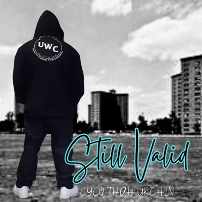 Still Valid (Video Version) - Single