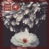 Oasis (Safar (Fr) Remix) cover art