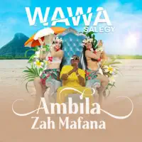 Ambila Zah Mafana — Wawa Salegy