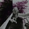 Loves a Drug (feat. Lil 3Xk) - Dreyk0 lyrics