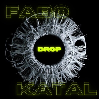 Drop (feat. theycallmefabo) - Single