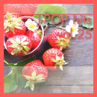 J-POP hits vol.25
