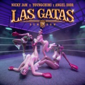 Las Gatas (Dembow) artwork