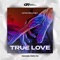 True Love (Papa Tin Remix) artwork