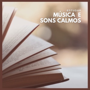 Estudar: Música e Sons Calmos