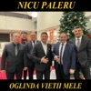 Oglinda Vietii Mele - Single