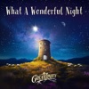 What a Wonderful Night - Single