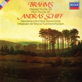 Brahms: Clarinet Trio, Op. 114; Horn Trio, Op. 40 (New Vienna Octet; Vienna Wind Soloists — Complete Decca Recordings Vol. 5) artwork